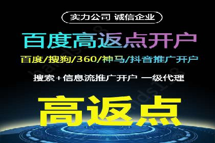 短视频信息流广告投放策略与案例分析